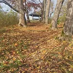 Apartament Gemuetliche In Elbingerode/harz *