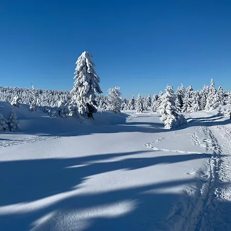 Gemuetliche In Elbingerode/harz Elbingerode (Saxony-Anhalt)