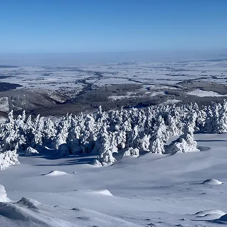 Gemuetliche In Elbingerode/harz * Elbingerode (Saxony-Anhalt)
