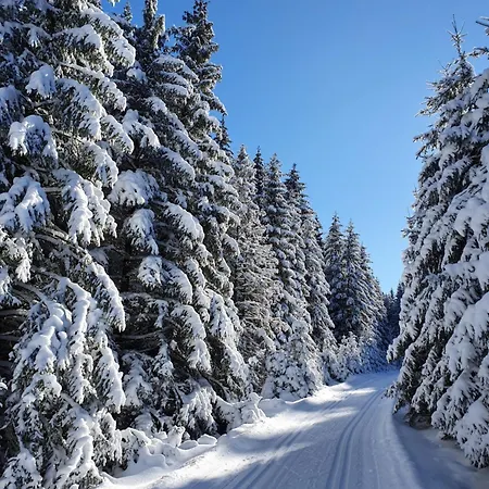 Gemuetliche In Elbingerode/harz Apartament