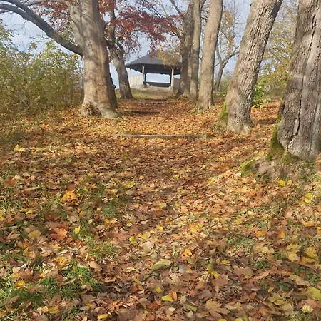 Apartament Gemuetliche In Elbingerode/harz *