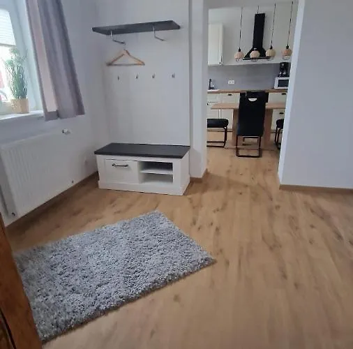 Gemuetliche In Elbingerode/harz Elbingerode (Saxony-Anhalt)