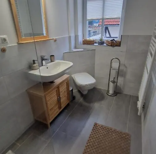 Gemuetliche In Elbingerode/harz Lägenhet