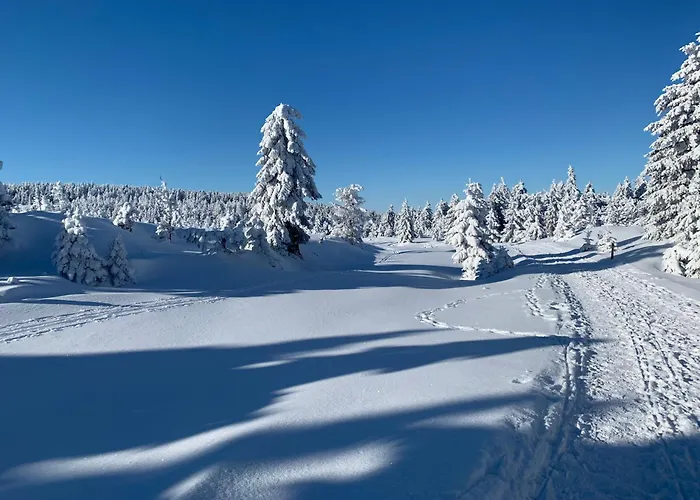Gemuetliche In Elbingerode/harz Elbingerode (Saxony-Anhalt)