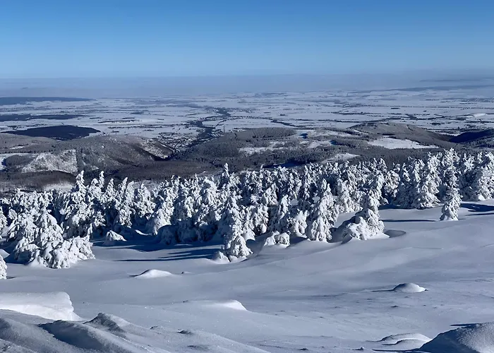 Gemuetliche In Elbingerode/harz * Elbingerode (Saxony-Anhalt)