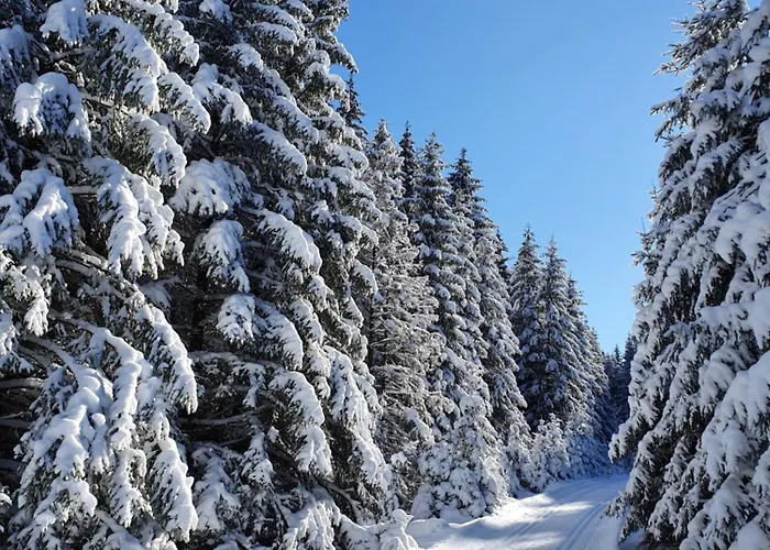 Gemuetliche In Elbingerode/harz Lägenhet