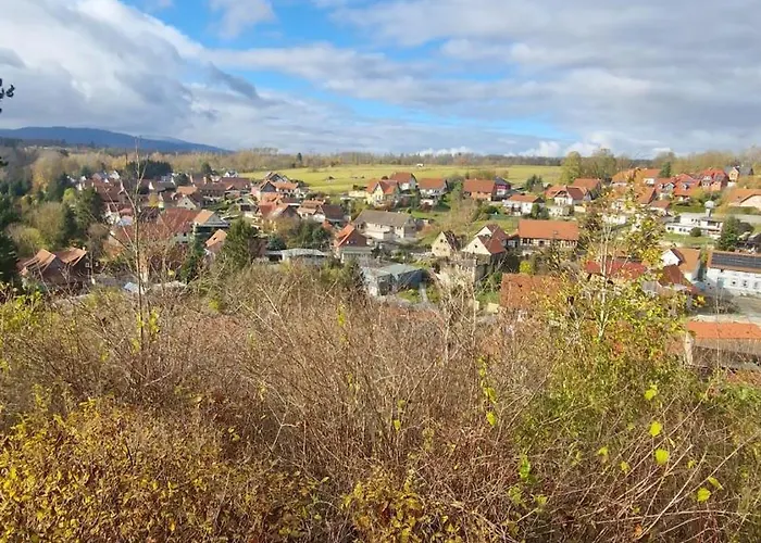 Gemuetliche In Elbingerode/harz * Elbingerode (Saxony-Anhalt)