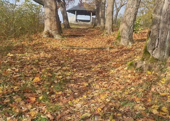 Lägenhet Gemuetliche In Elbingerode/harz *